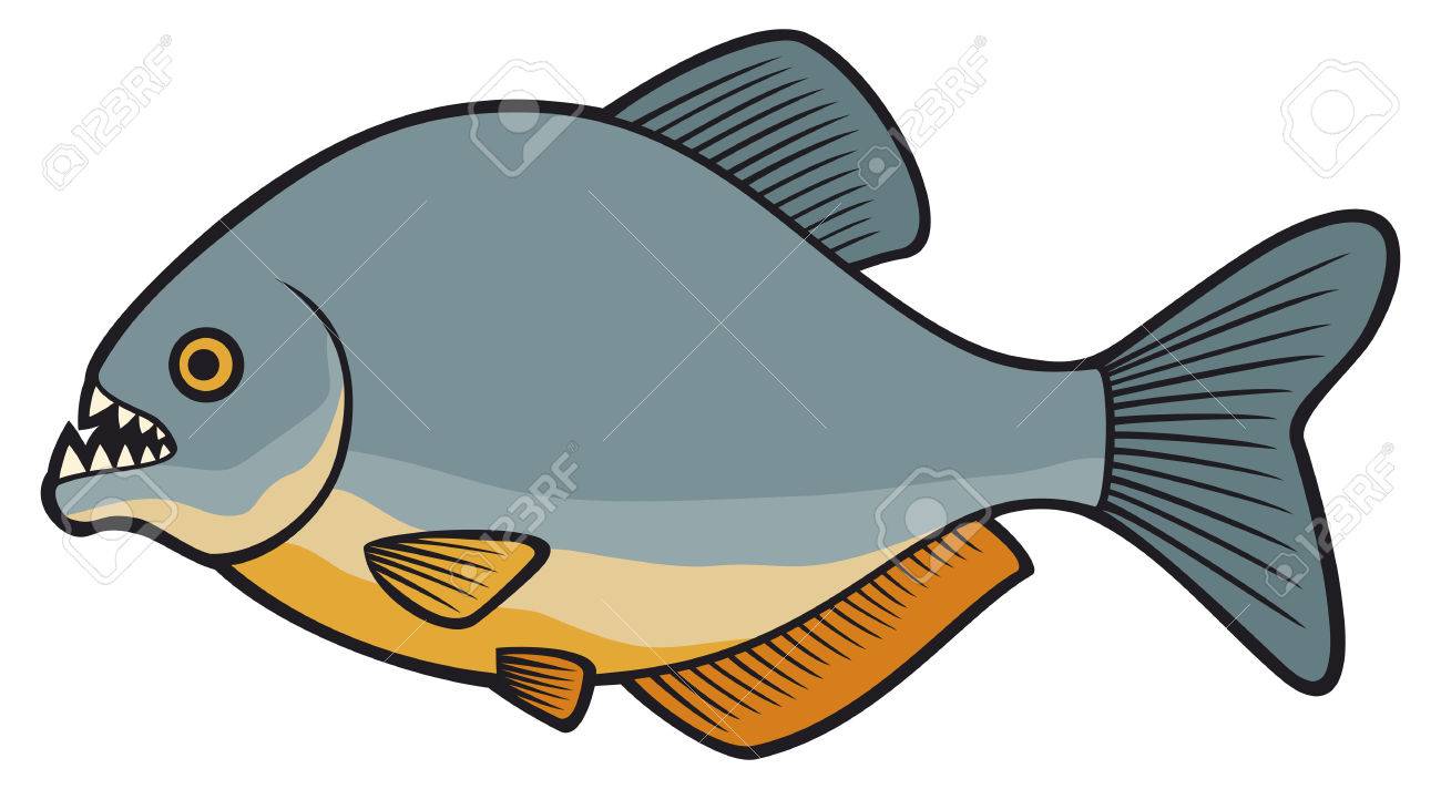 ピラニア魚 のイラスト素材 ベクタ Image