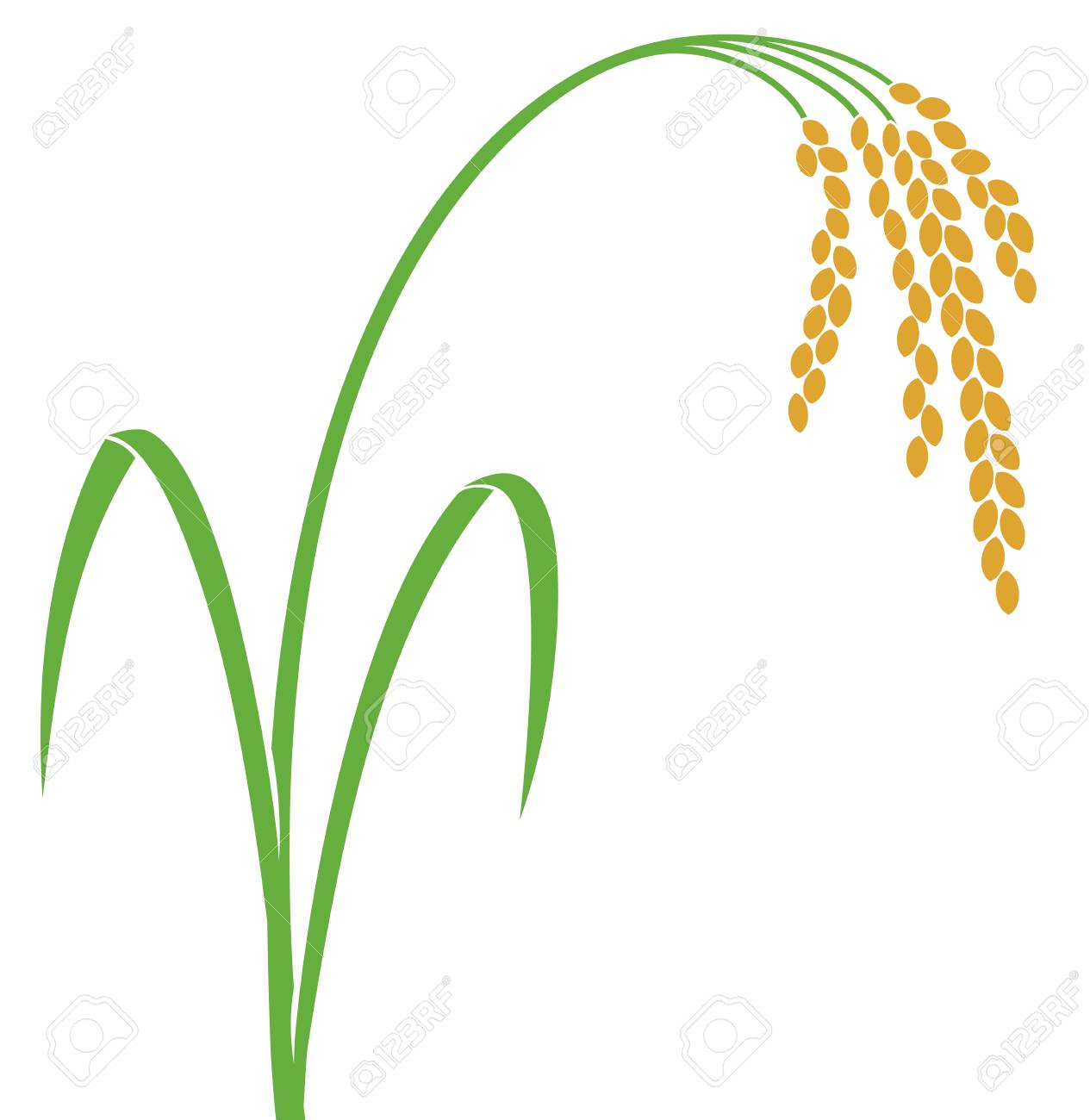 米のベクトル図です のイラスト素材 ベクタ Image