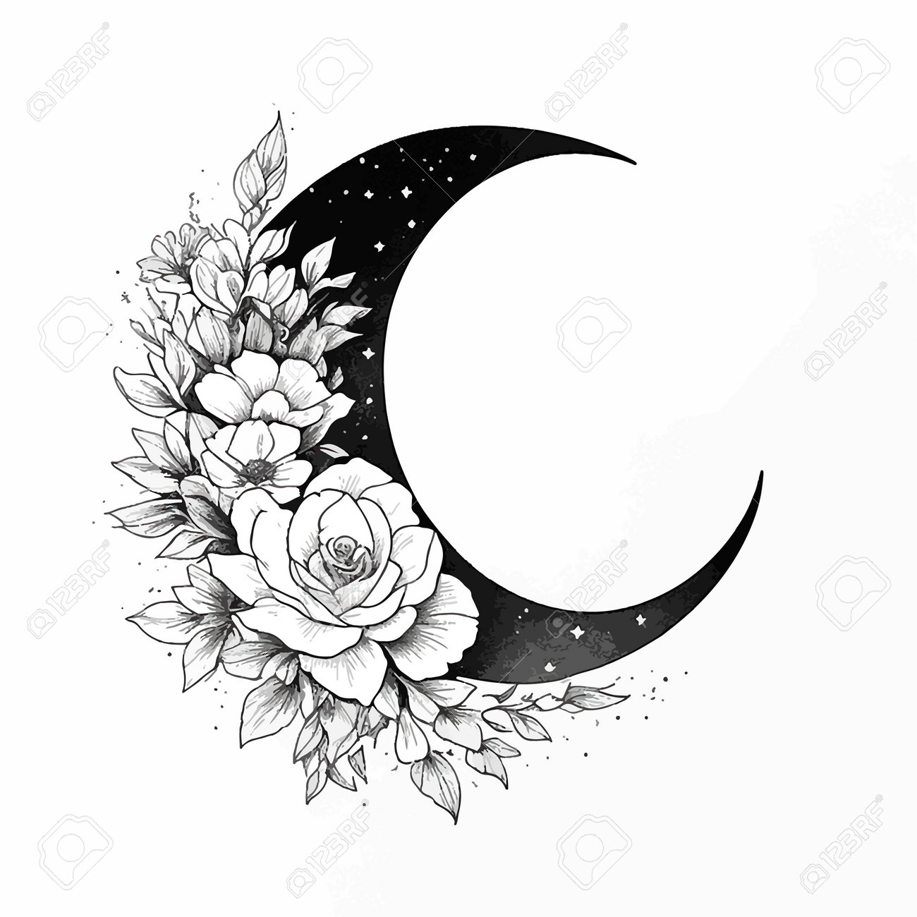 手描きの白黒の三日月と花と葉。のイラスト素材・ベクター Image 208912860 