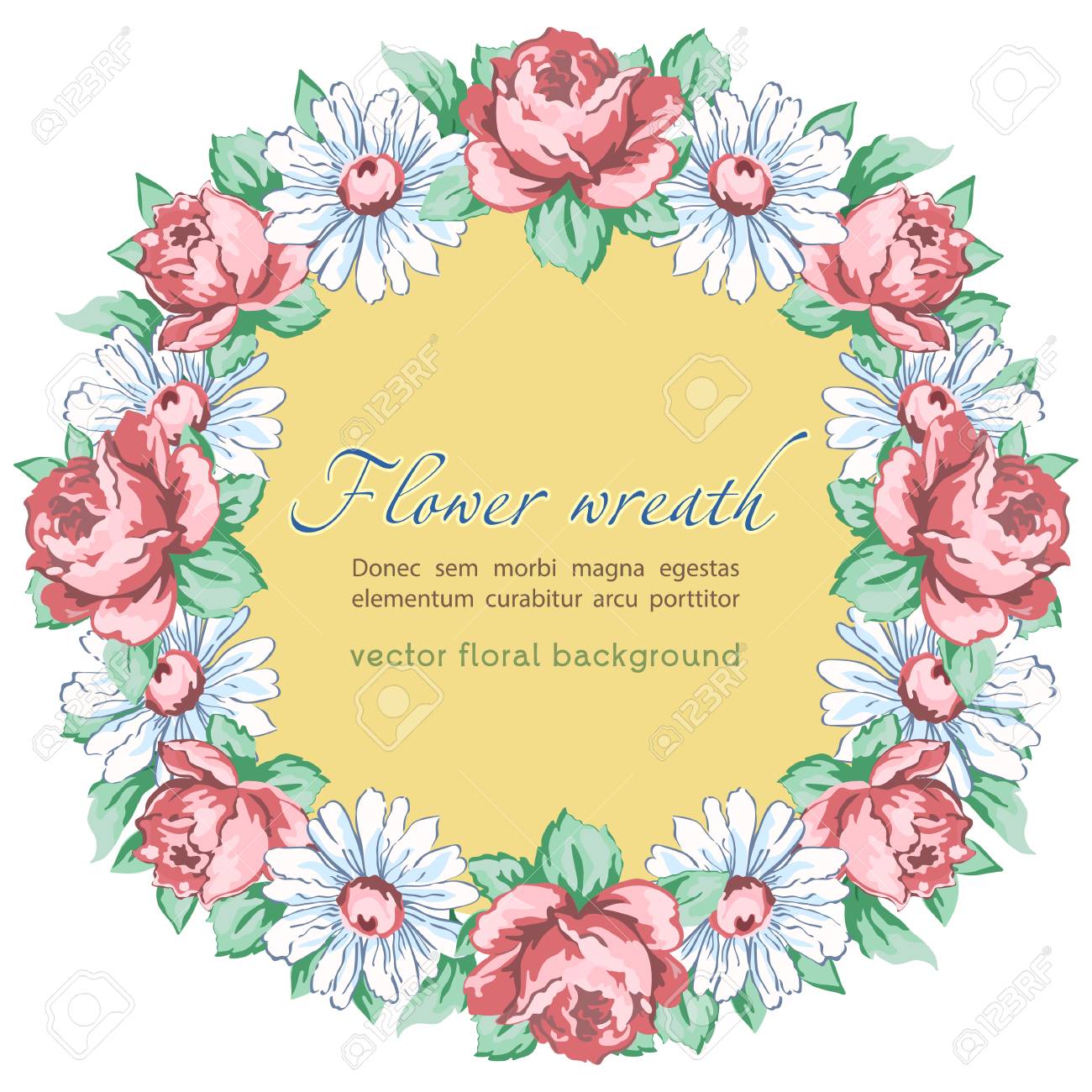 カモミールとバラの花 ベクター花の背景 丸い花のフレーム 境界線のリース 描かれた芽ピンクのバラの花と白いカモミールハンドの描画は 白い背景に隔離されたテキストのラベルでのイラスト素材 ベクタ Image