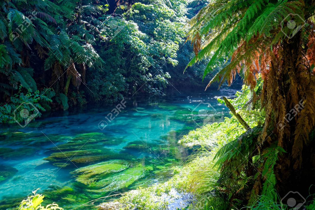 Crystal Clear River In South Waikato New Zealand Stock Photo Picture And Royalty Free Image Image Crystal Clear River In South Waikato New Zealand Stock Photo Picture And Royalty Free Image Image