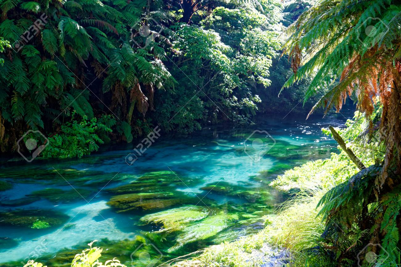 Crystal Clear River In South Waikato New Zealand Stock Photo Picture And Royalty Free Image Image Crystal Clear River In South Waikato New Zealand Stock Photo Picture And Royalty Free Image Image