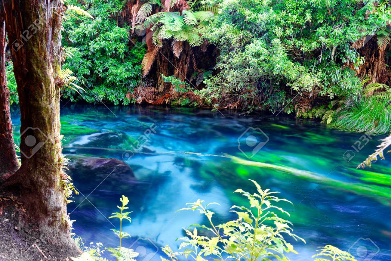 Crystal Clear River In South Waikato New Zealand Stock Photo Picture And Royalty Free Image Image Crystal Clear River In South Waikato New Zealand Stock Photo Picture And Royalty Free Image Image