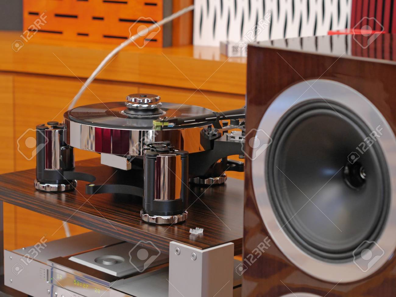 vinyl record speakers