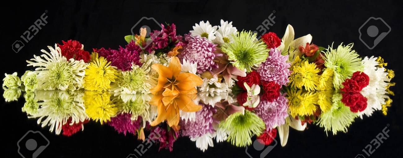 etiam-dictum-ipsum-a-felis