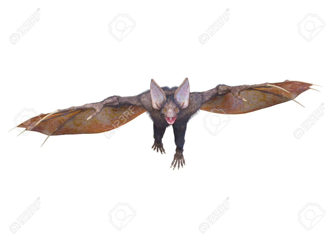 etiam-dictum-ipsum-a-felis