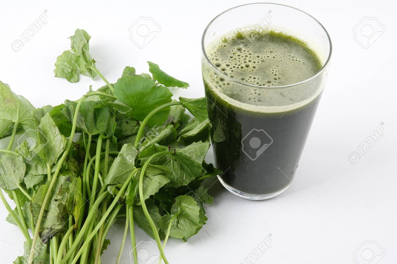 Pennywort Juice Also Known As Pegaga. The Health Benefits Of Pennywort Is  Memory, Circulation And Skin Conditions, Nervous System And Immune System.  Stock Photo, Picture and Royalty Free Image. Image 94733488.