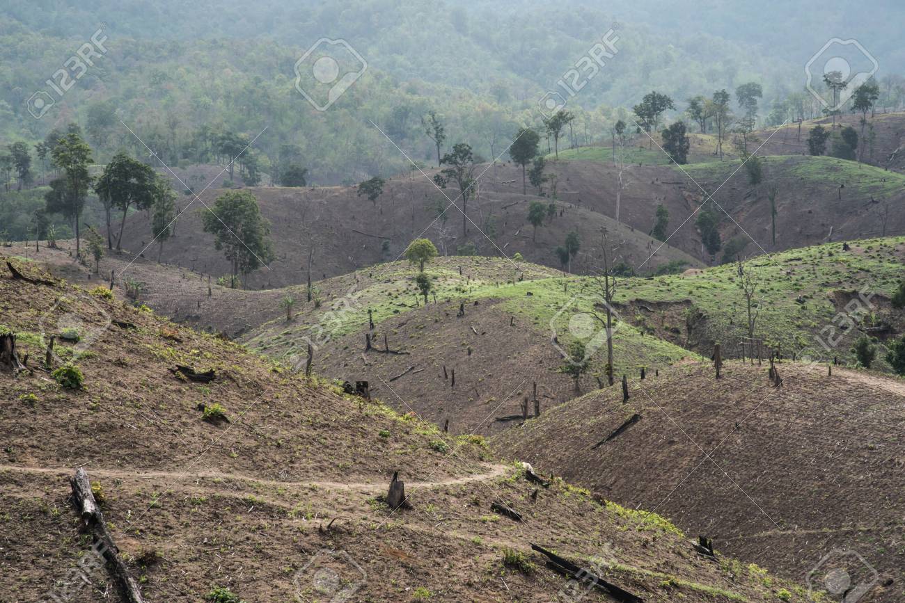 Deforestation On The Mountain For Agricultural At Tak Province In Thailand.  Stock Photo, Picture And Royalty Free Image. Image 42535466.