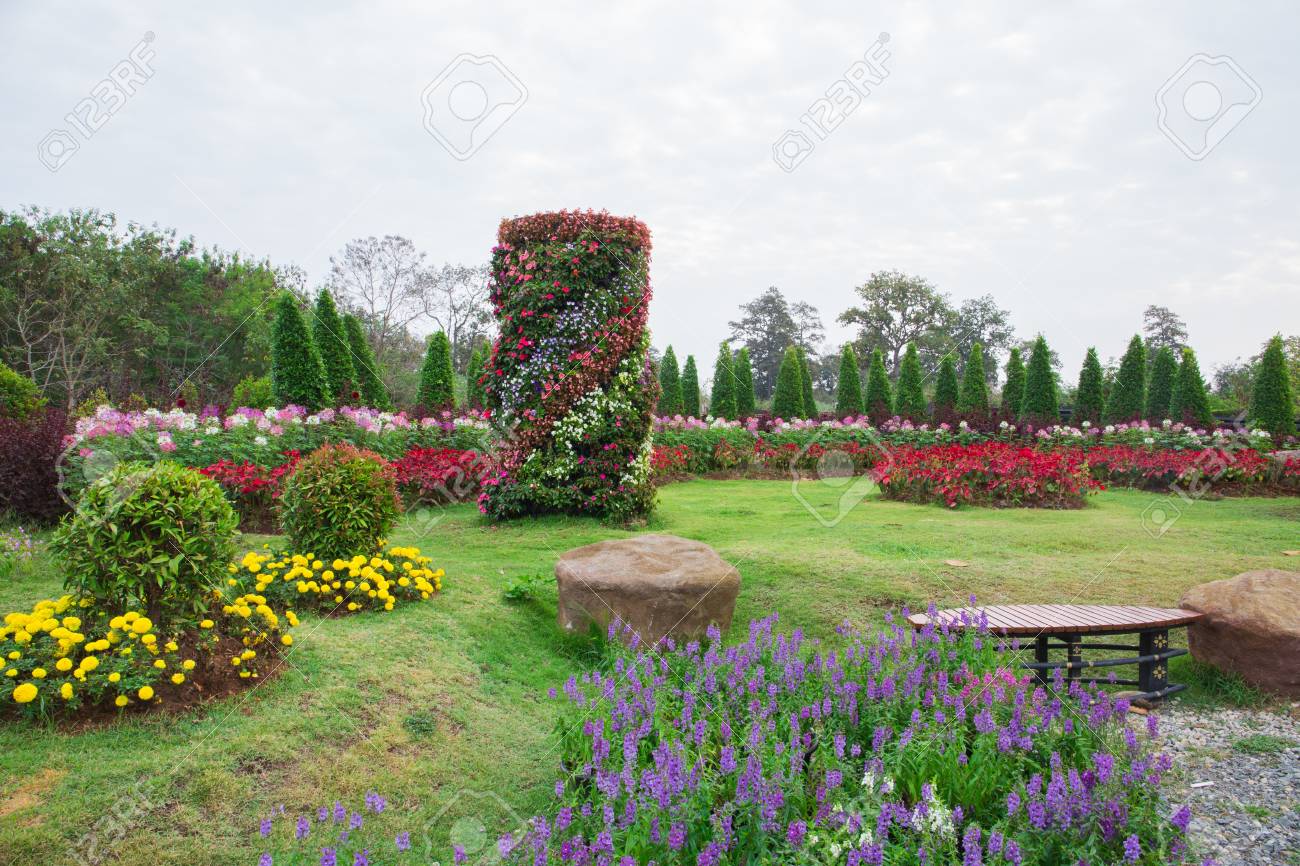 タイの冬の花の庭 の写真素材 画像素材 Image