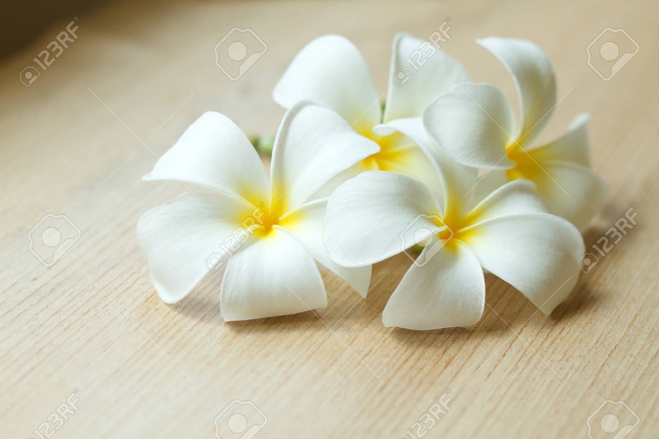 新鮮なプルメリアの花や木のテーブルにフランジパニ熱帯の花 の写真素材 画像素材 Image
