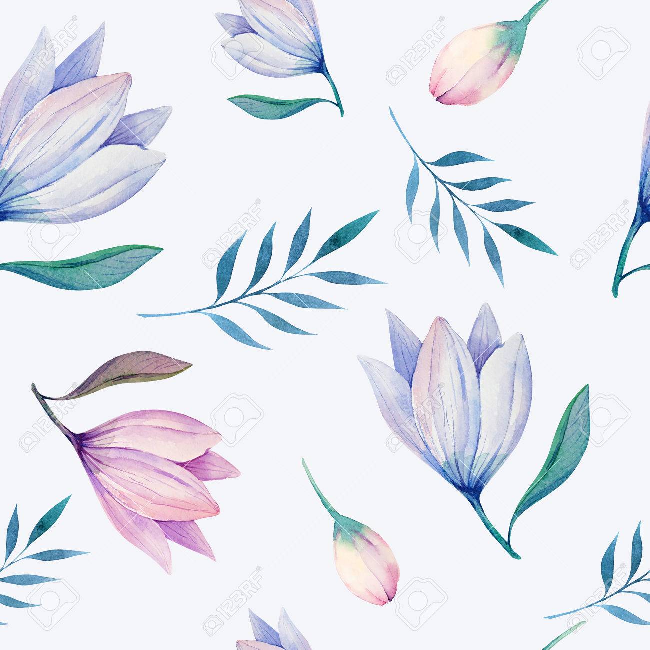 Fondo De Pantalla Transparente Con Flores Y Hojas, Ejemplo De La Acuarela. Diseño Para La Invitación, Boda O Tarjetas De Felicitación Fotos, Retratos, Imágenes Y Fotografía De Archivo Libres De Derecho. Image Fondo De Pantalla Transparente Con Flores Y Hojas, Ejemplo De La Acuarela. Diseño Para La Invitación, Boda O Tarjetas De Felicitación Fotos, Retratos, Imágenes Y Fotografía De Archivo Libres De Derecho. Image