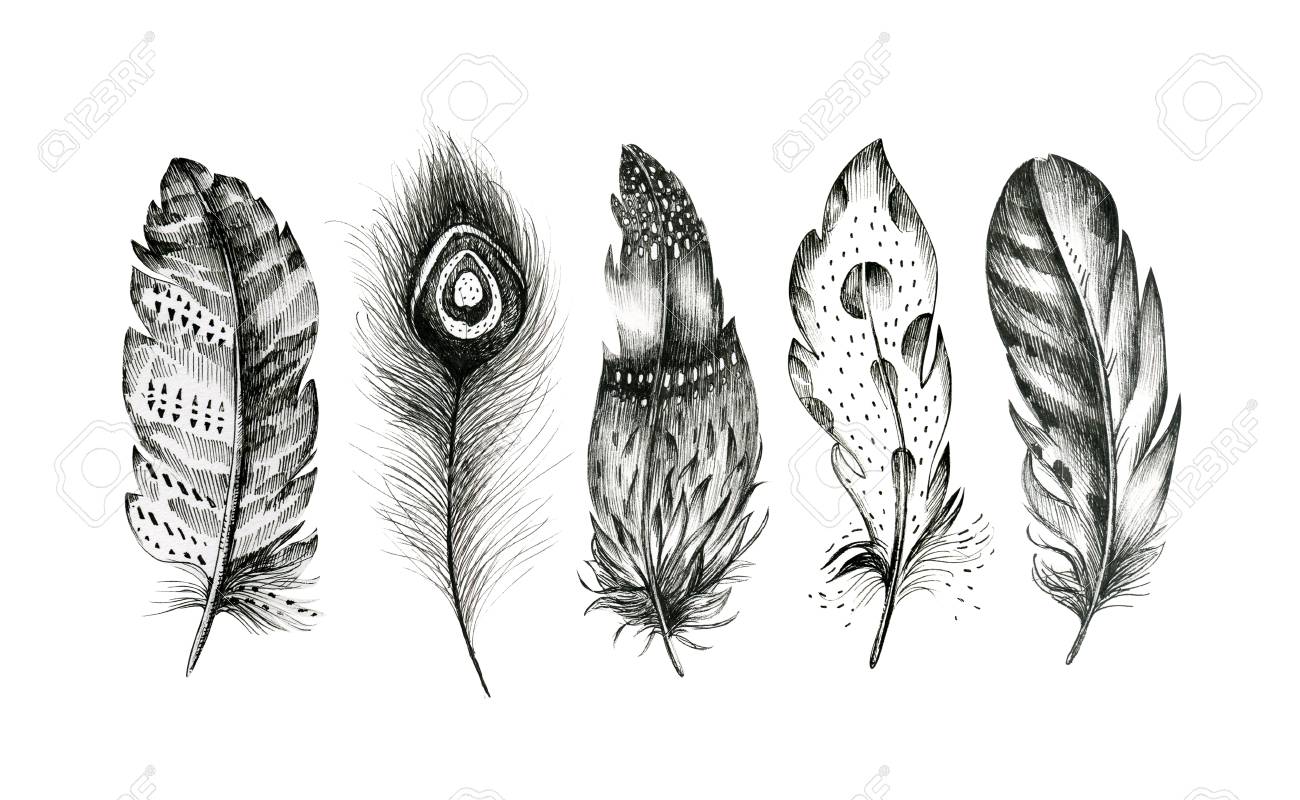 Set Von Hand Gezeichneten Federn Auf Weissem Hintergrund Boho Dekoration Schwarz Weiss Abbildung Von Linienelementen Vogel Fliegen Entwurf Fur T Shirt Einladung Hochzeit Card Rustic Helle Farben Lizenzfreie Fotos Bilder Und Stock Fotografie Image