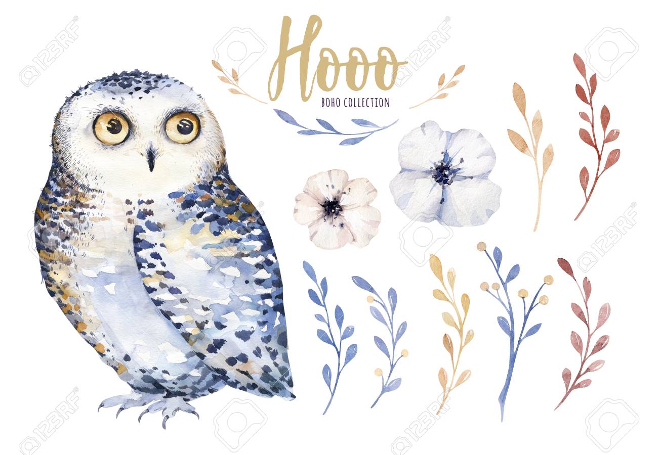 バードフクロウポスター 大人気新品