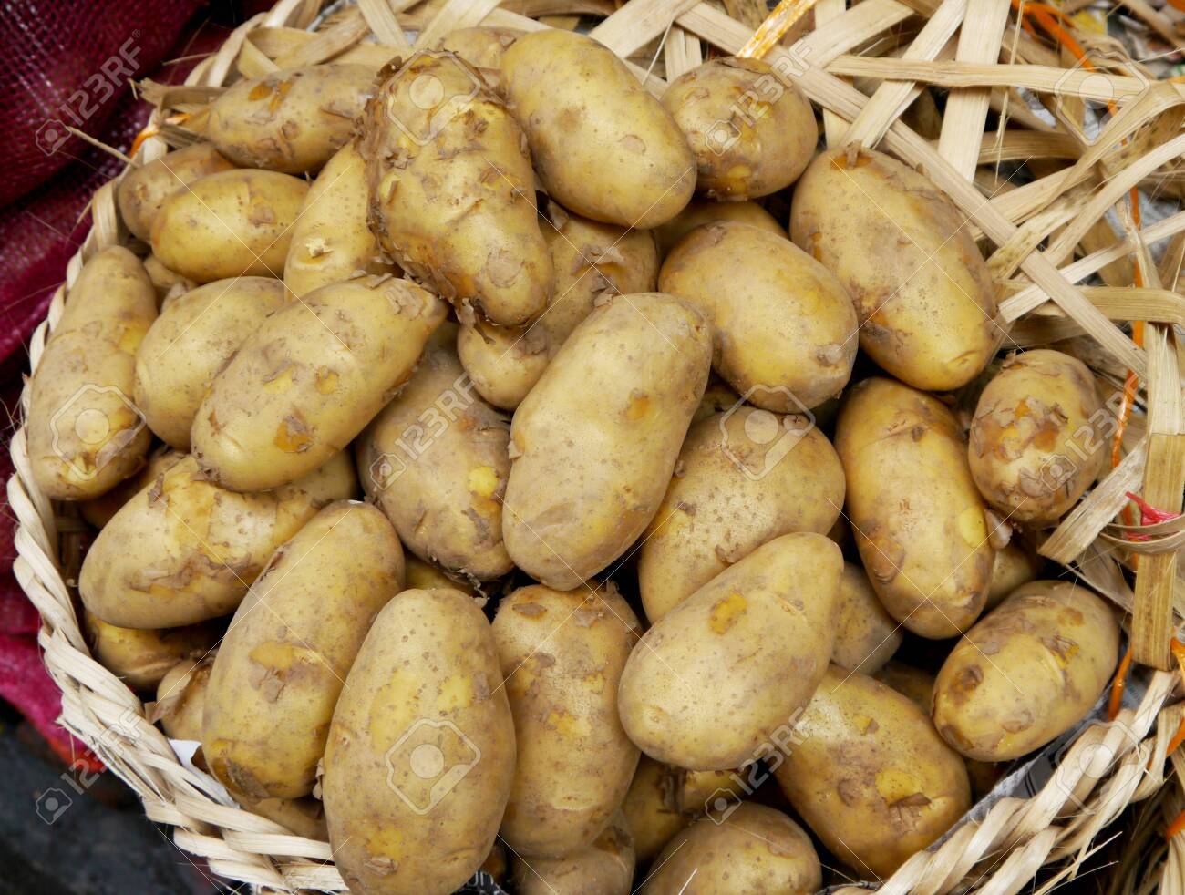 etiam-dictum-ipsum-a-felis