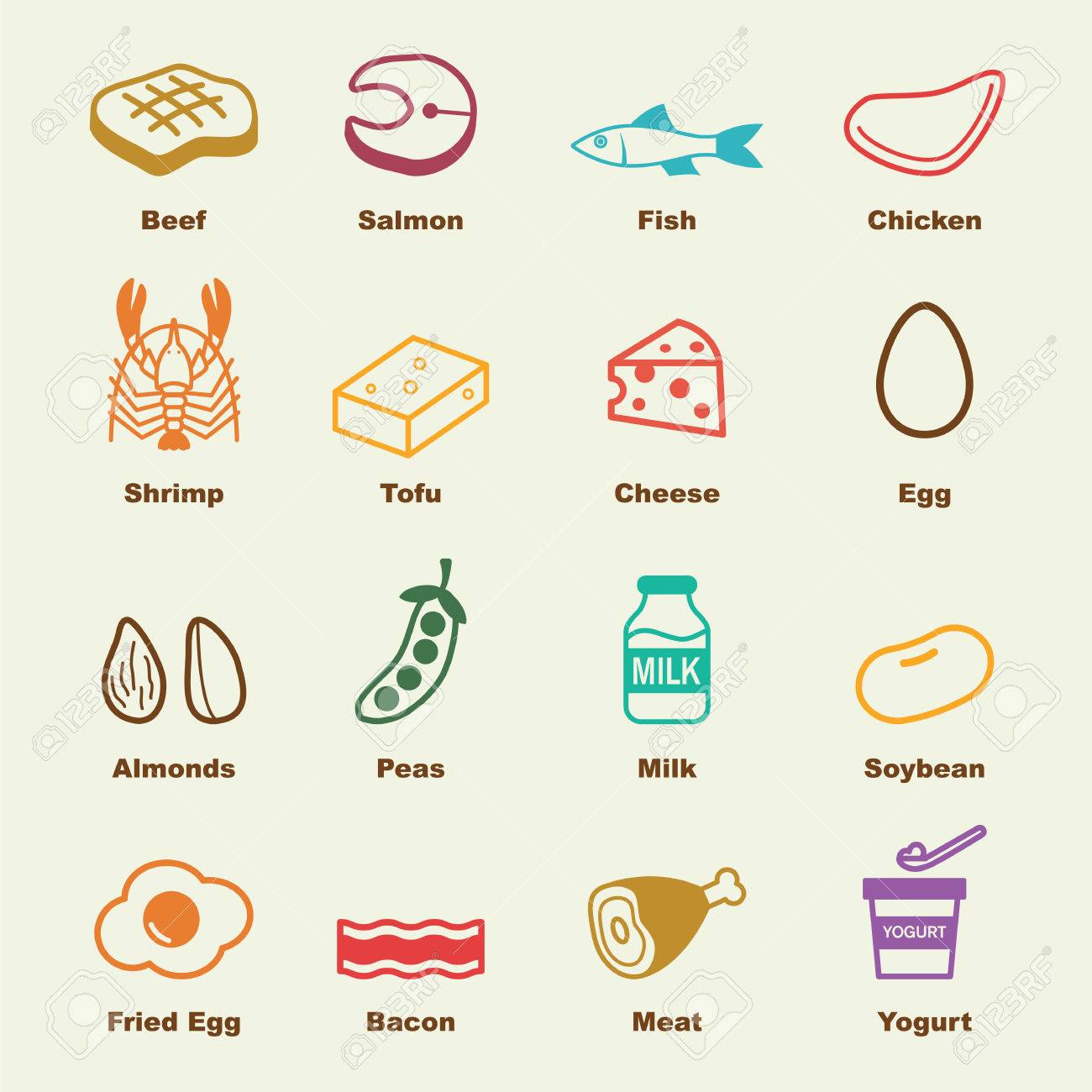 protein food elements vector infographic icons royalty free