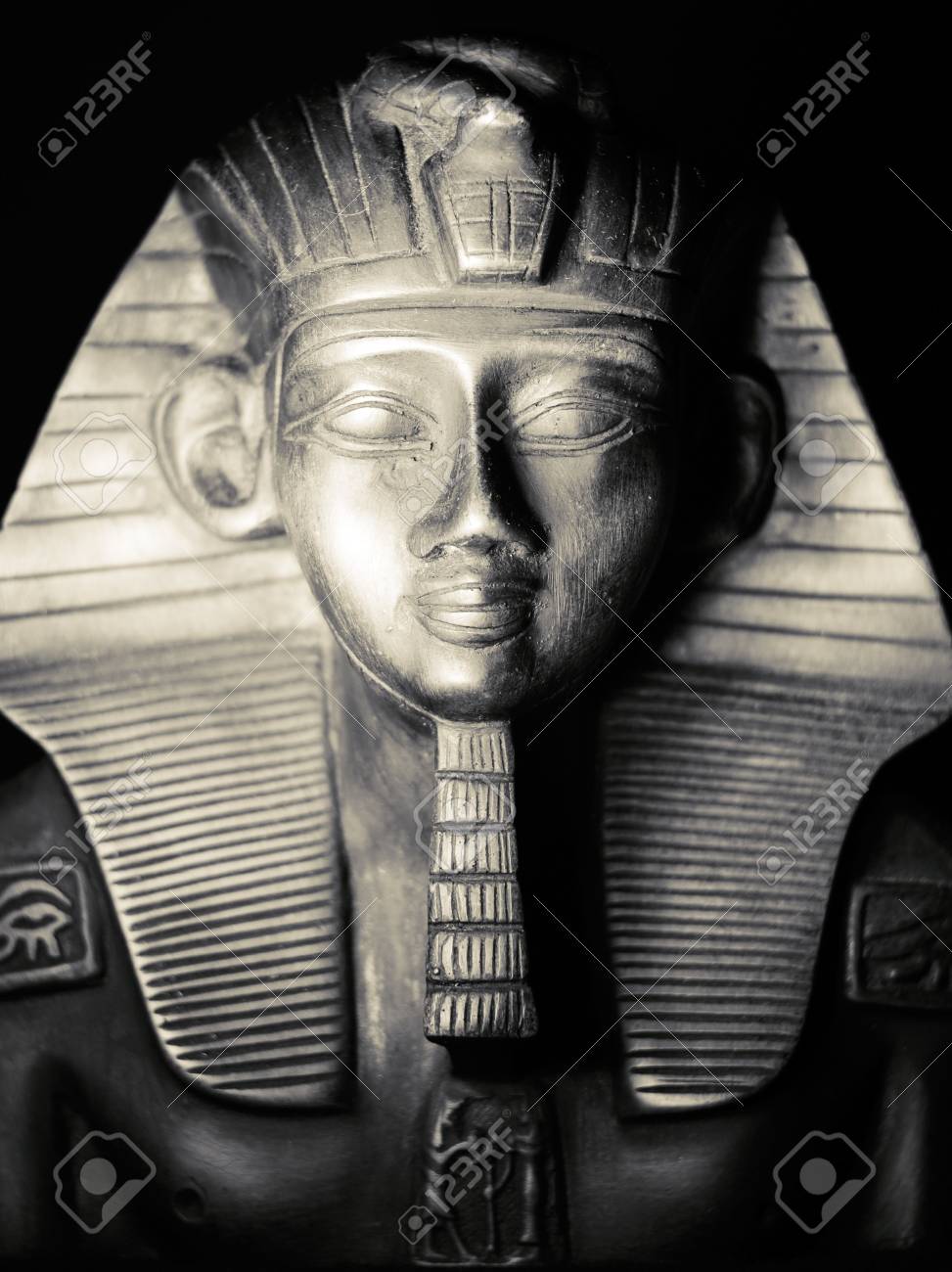 etiam-dictum-ipsum-a-felis