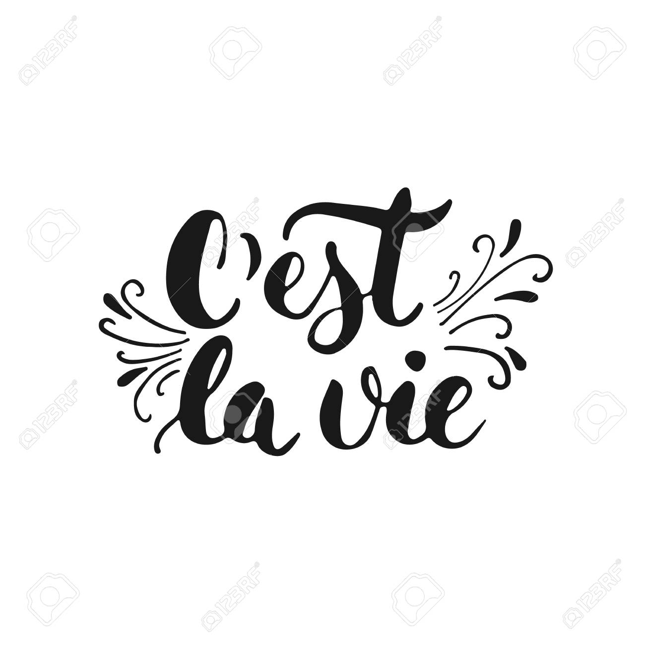C Est La Vie Dibujado A Mano Las Letras De Una Frase Así Es La Vida En Francés Aislado En El Fondo Blanco Inscripción De Tinta Cepillo De Diversión Para Los Recubrimientos