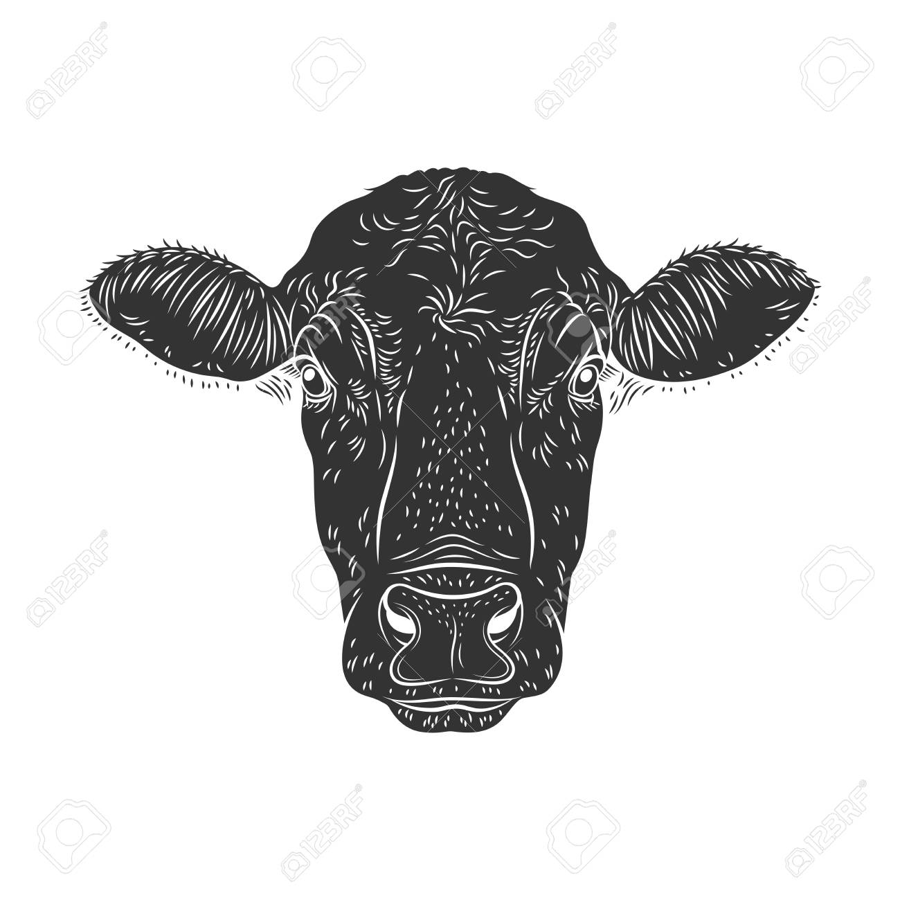 Stencil Vector Cow's Head Isolated On White Background. Black And White  Sign, Emblem, Symbol. Stamp. Simple Illustration. Sketch Royalty Free SVG,  Cliparts, Vectors, and Stock Illustration. Image 117670177., image size:1300x1300