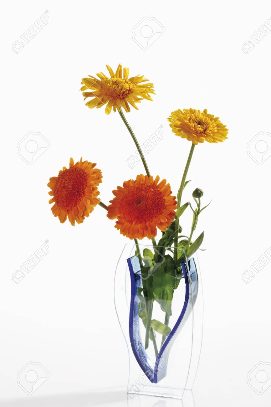 Calendulas キンセンカ 花の花瓶 の写真素材 画像素材 Image