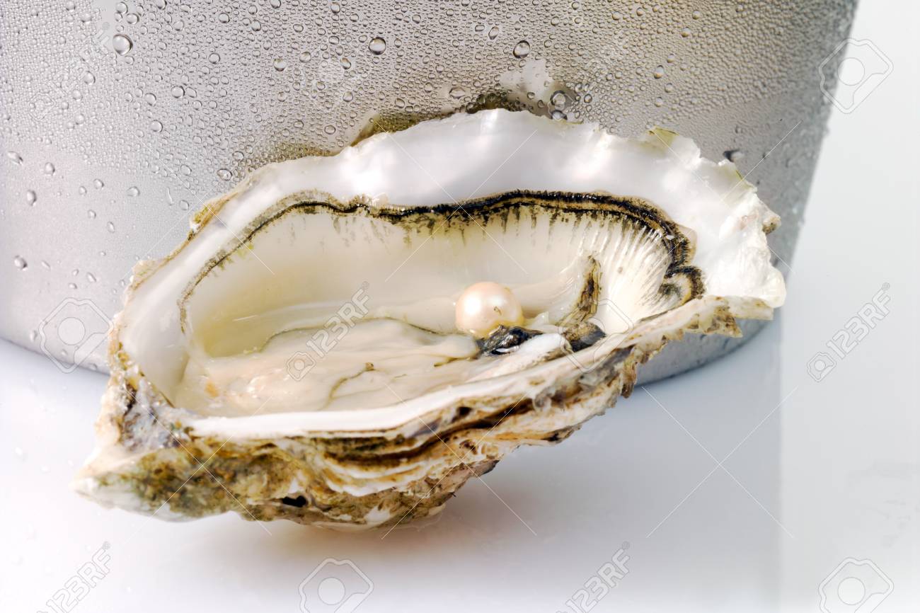 Oyster And Pearl Stock Photo Picture And Royalty Free Image Image Oyster And Pearl Stock Photo Picture And Royalty Free Image Image