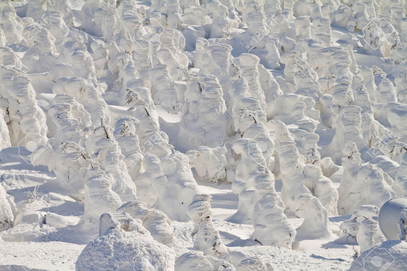 山形県蔵王山の上に雪のモンスター の写真素材 画像素材 Image 山形県蔵王山の上に雪のモンスター の写真素材 画像素材 Image