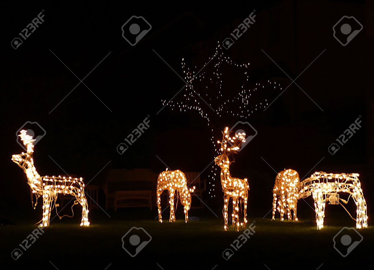 Christmas Outdoor Decorations Lit Reindeer South West England