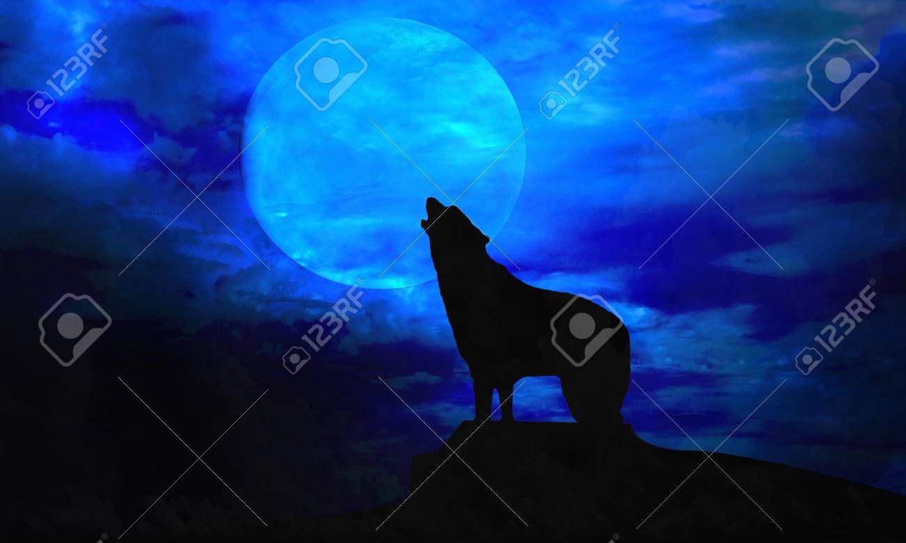 犬と月の写真素材・画像素材 Image 22268313