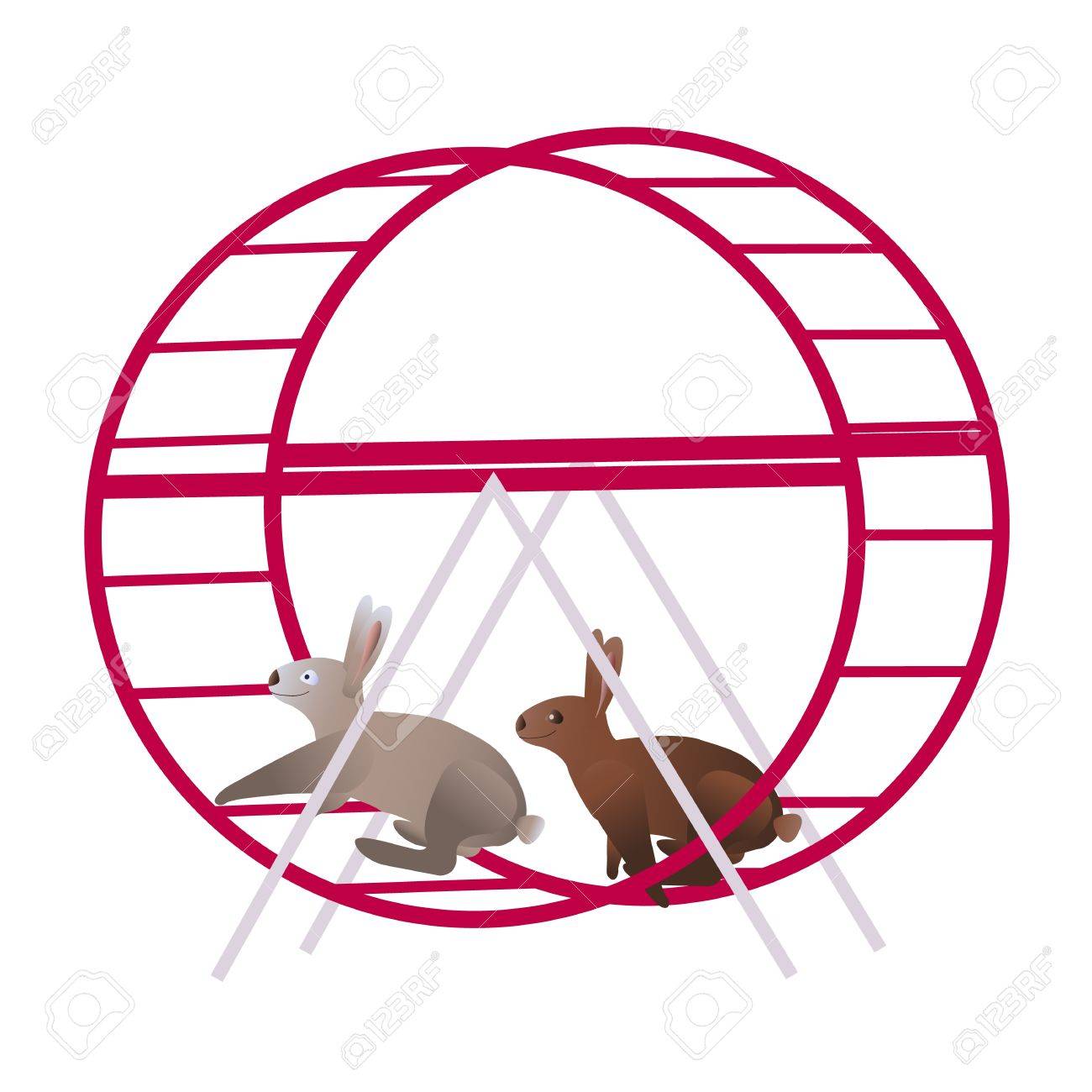 rabbit running wheel