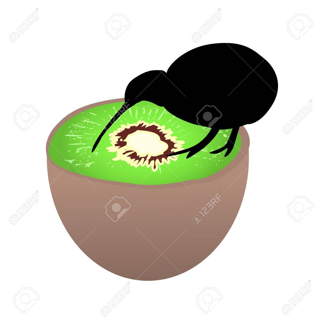 Petit Oiseau Kiwi Noir Assis Sur Un Kiwi Oiseau Incapable De Voler Symbole De La Nouvelle Zélande