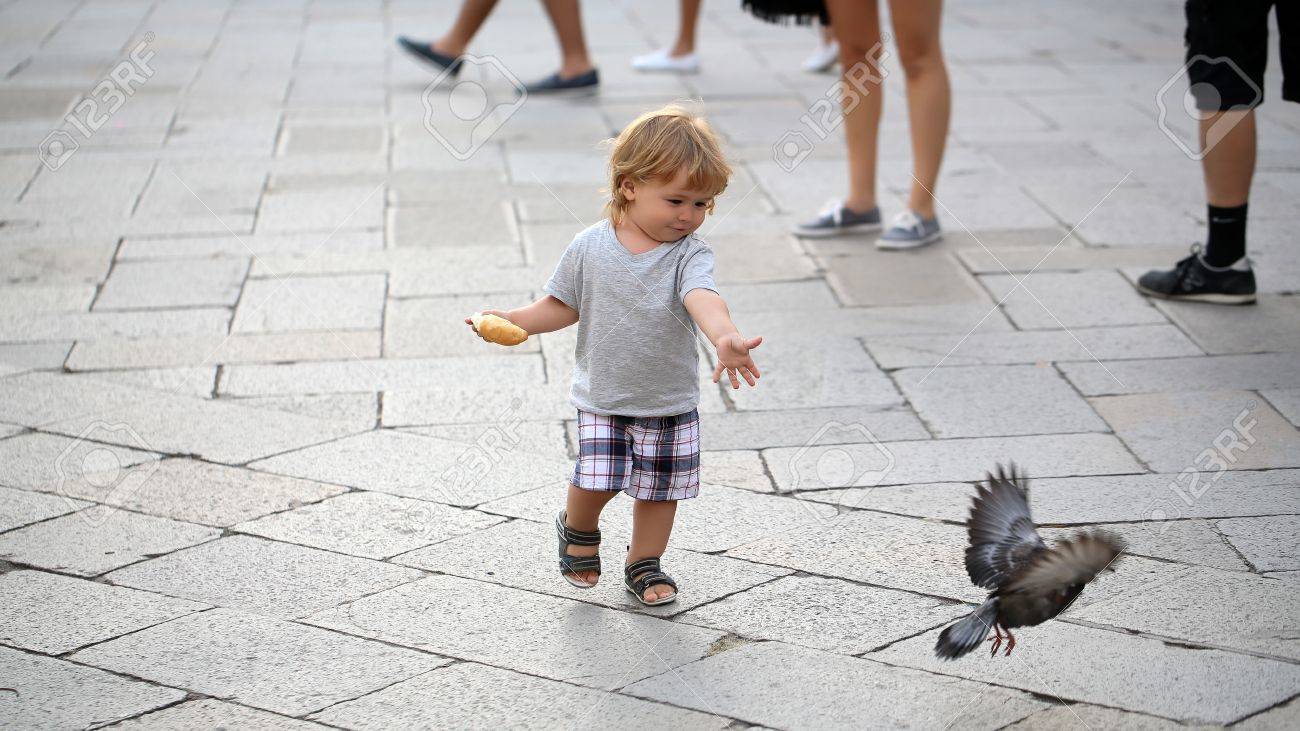 Photo En Gros Plan De Blonde Jeune Blonde Minuscule Bebe Enfant Garcon Pigeon Mignon Nourrir Avec Bun Marche Le Long Paysage Urbain Flag Chaussee De Pierre Sur Fond Gris Floue L Image Horizontale Banque