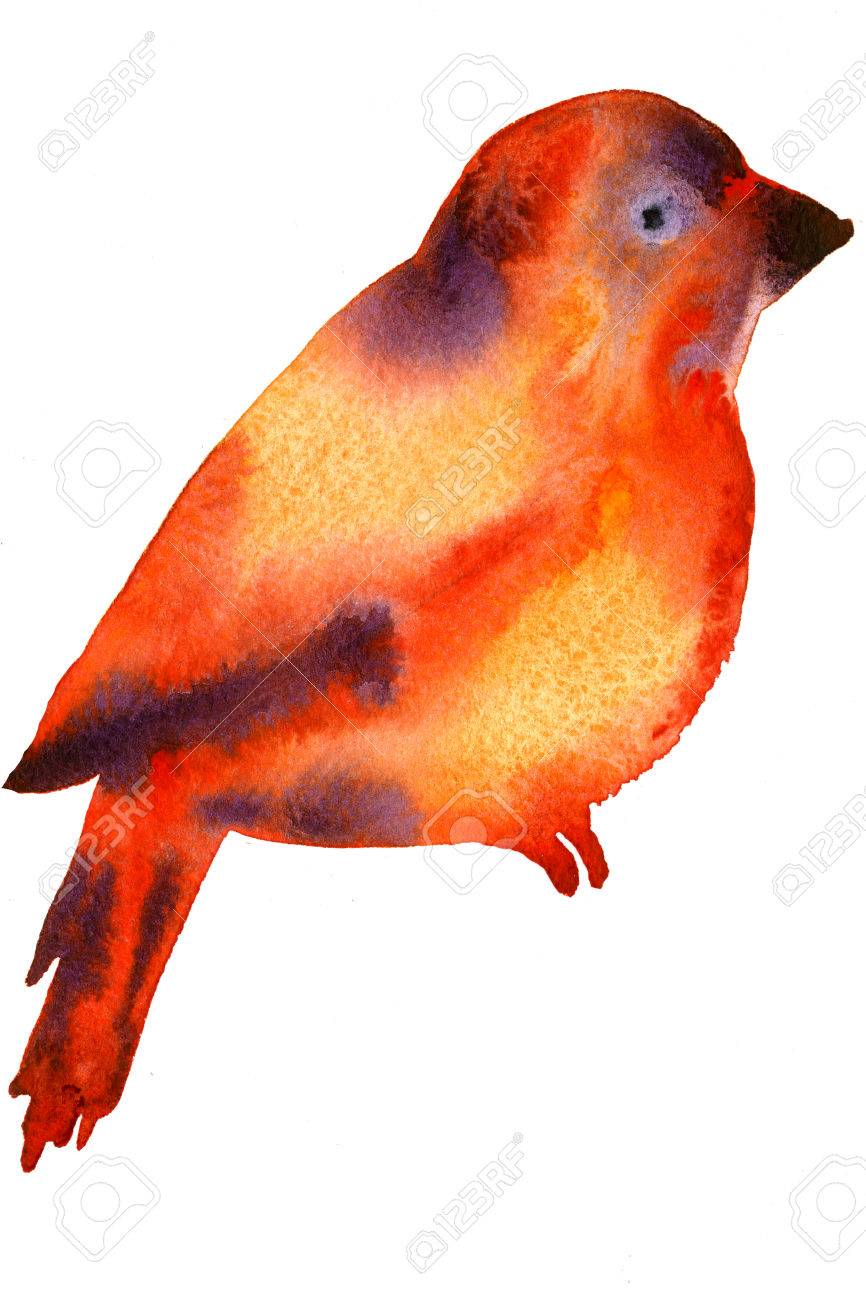 Illustration Mignonne Aquarelle à Main Levée De Loiseau Rouge Vif Et Jaune Sur Fond Blanc Beau Décor Peint Salutation Carte Postale