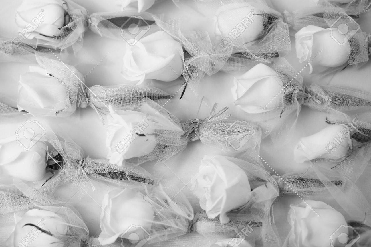 バラの花束チュール生地に 黒と白の美しい新鮮な花は 背景を白くします の写真素材 画像素材 Image