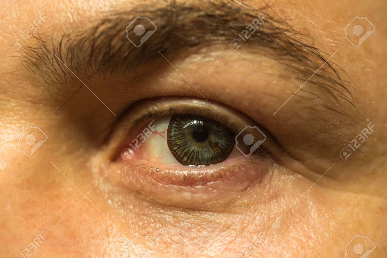 Male Eye With Bright Striped Lens And Hairy Eyebrow Of Old Man