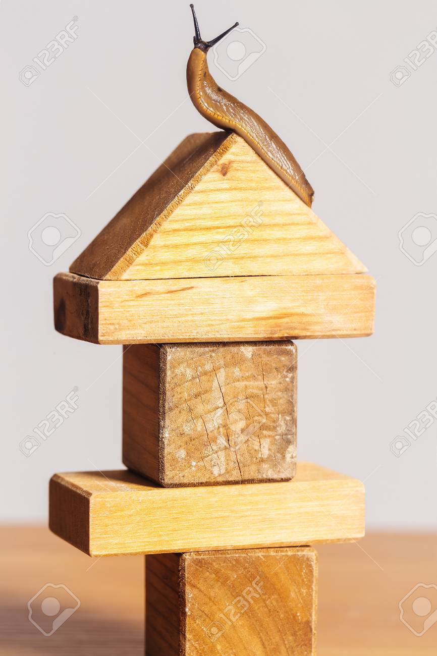 timber building blocks