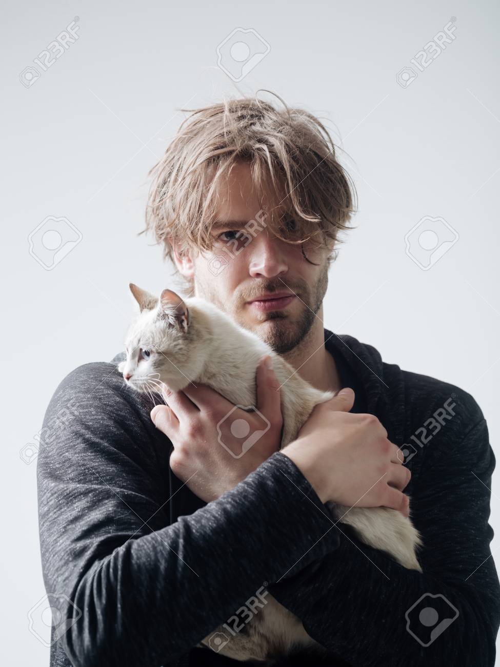 92 Imagenes Cortes De Cabello Gatito Free Descárgalo