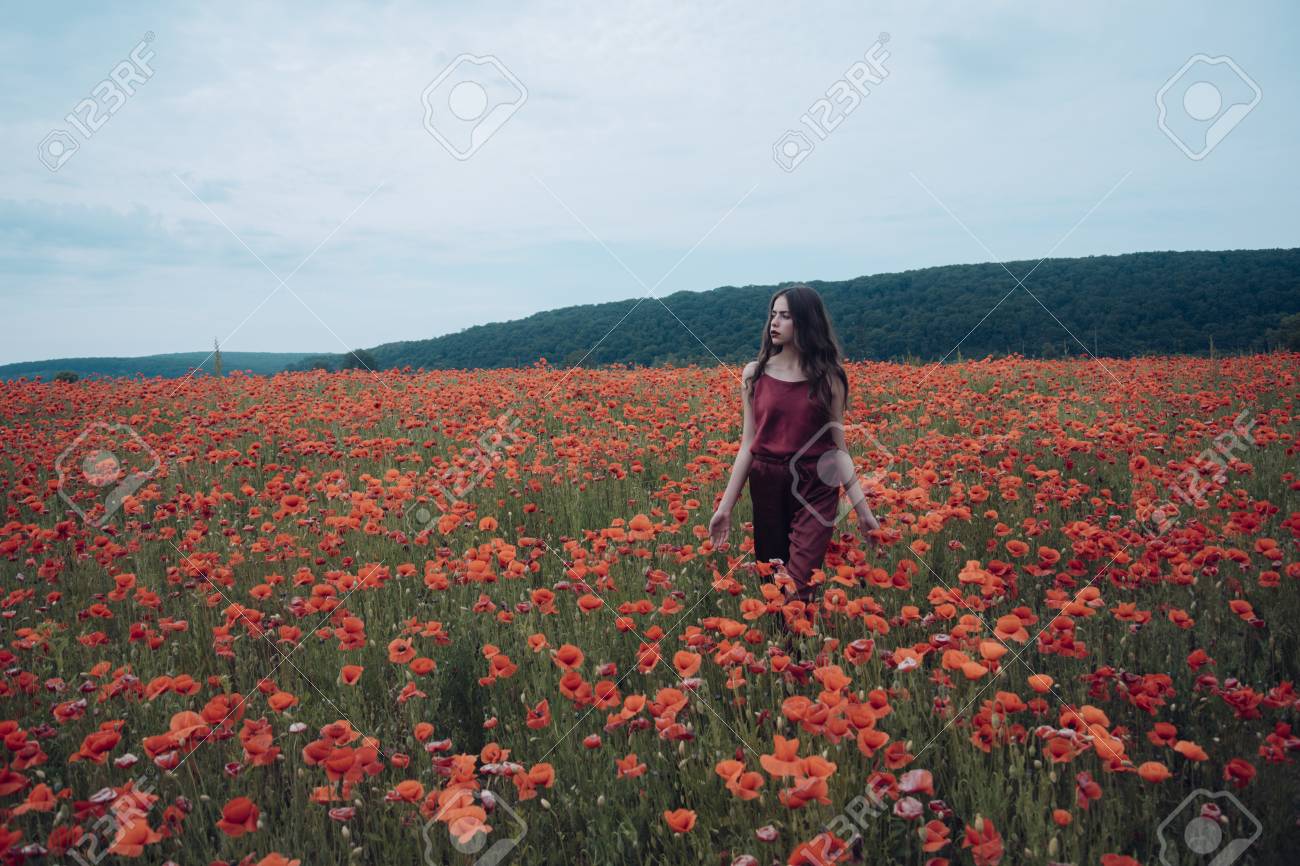 美しさ 夏 春 ケシの種 ポピーの花畑の女性 収穫 アヘンポピー 植物植物 生態学 女性 薬物と愛中毒 アヘン 薬用 ポピー 追悼の日 アンザックの日 の写真素材 画像素材 Image
