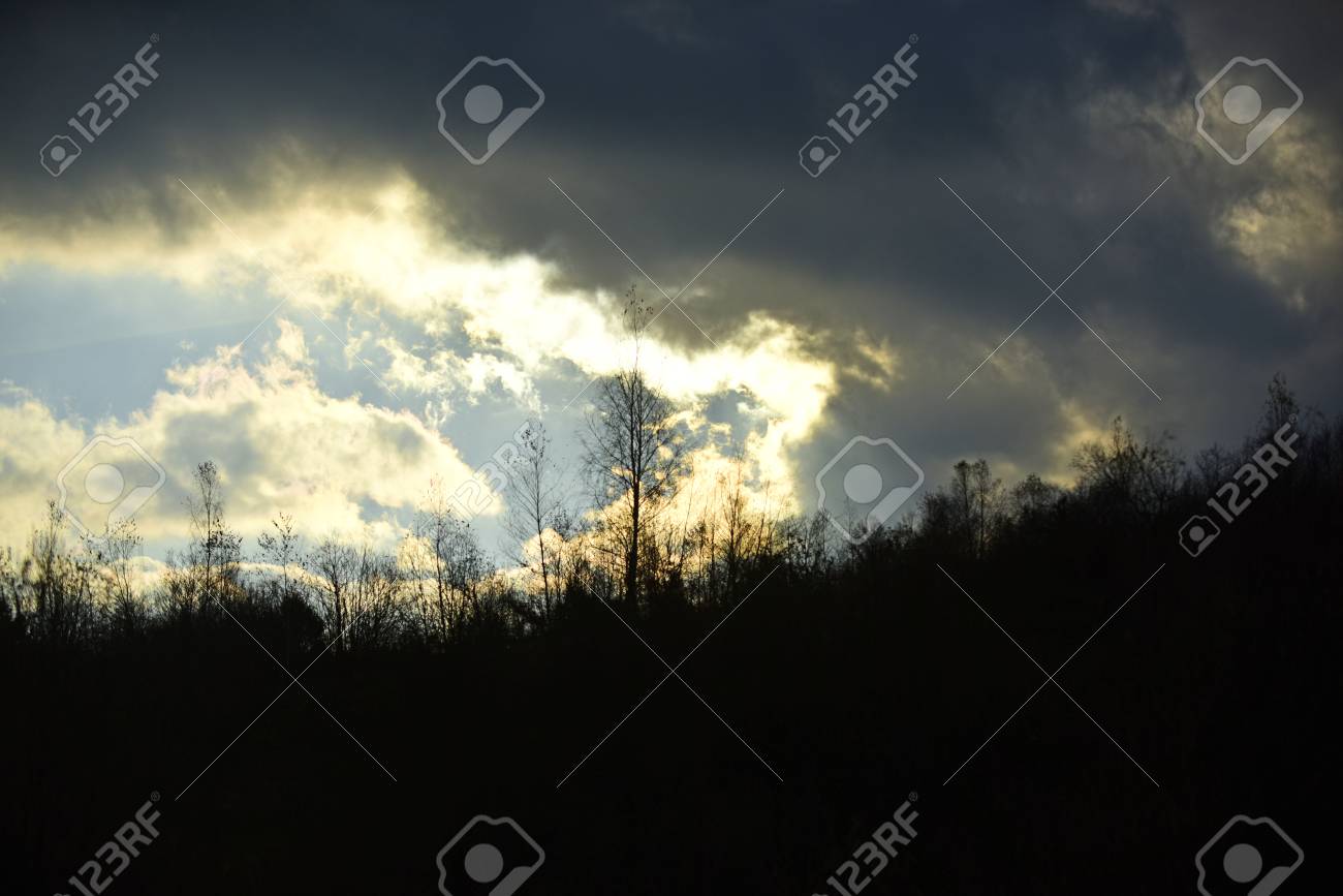 葉のない黒い木のシルエット 秋の風景コンセプト 太陽は空に恐ろしい雲を通り抜ける 秋の空に黒い雲 の写真素材 画像素材 Image