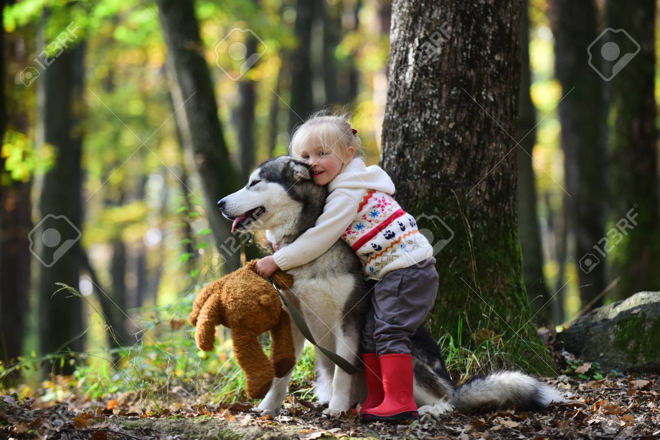 Little girl embracing husky dog in autumn park - 102298974 Little girl embracing husky dog in autumn park - 102298974
