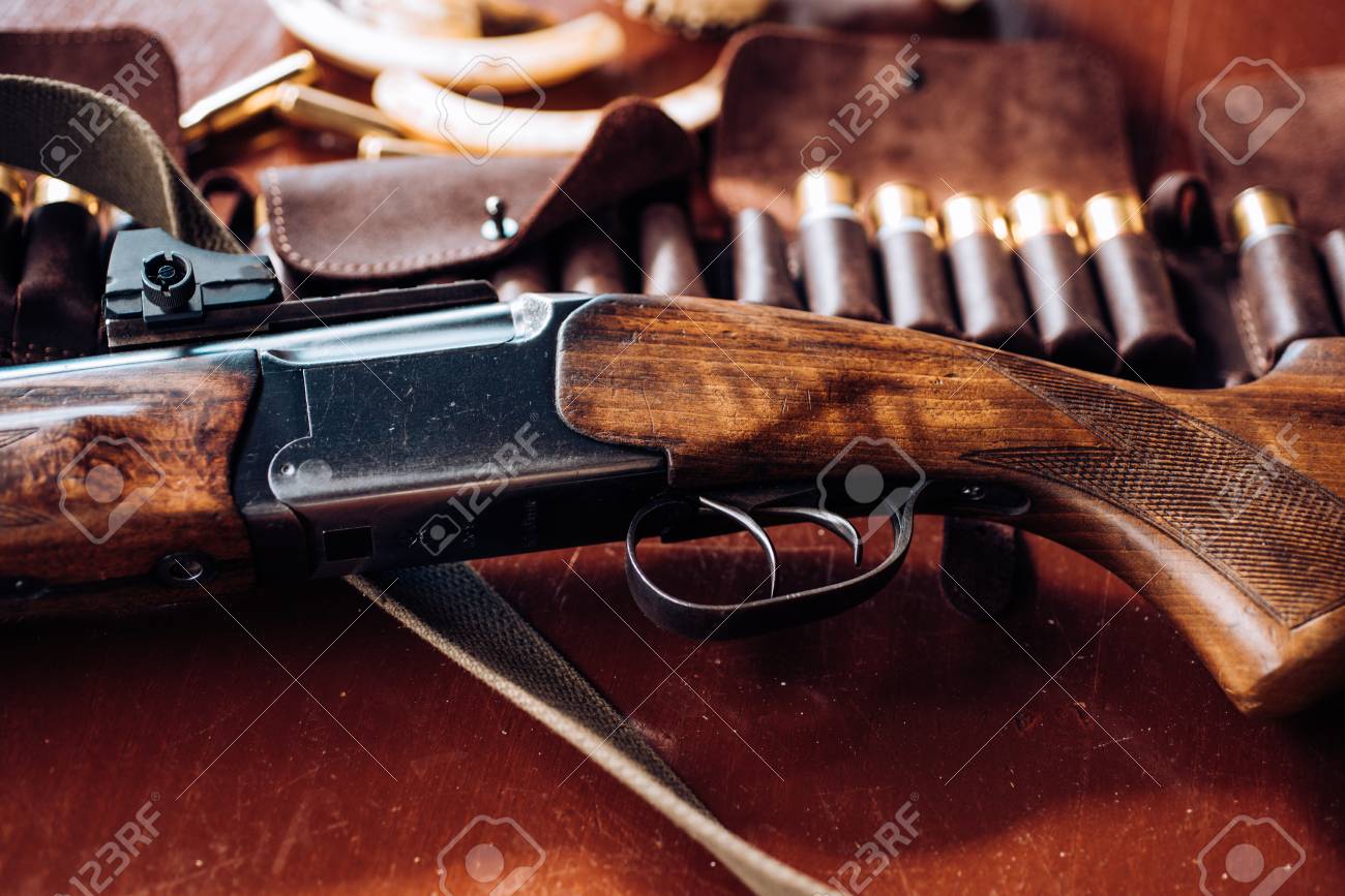 Pulled the trigger of the shotgun. Closed and open hunting season. Hunting equipment. - 113645864 Pulled the trigger of the shotgun. Closed and open hunting season. Hunting equipment. - 113645864