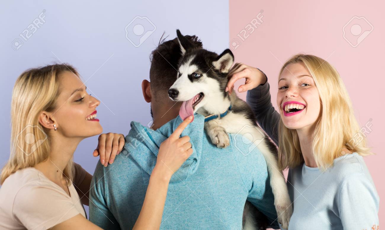 Play with your dog to help him live to his fullest. Happy family have fun with husky dog. Happy women and man play with family pet. Friends with purebred dog breed. Pet sitters care for the pet. - 115009727