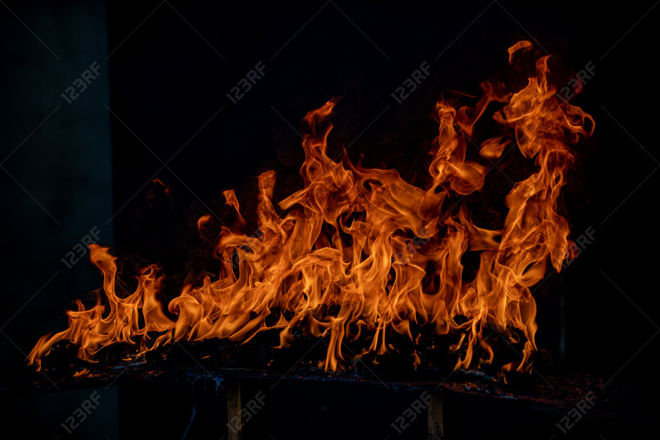 etiam-dictum-ipsum-a-felis