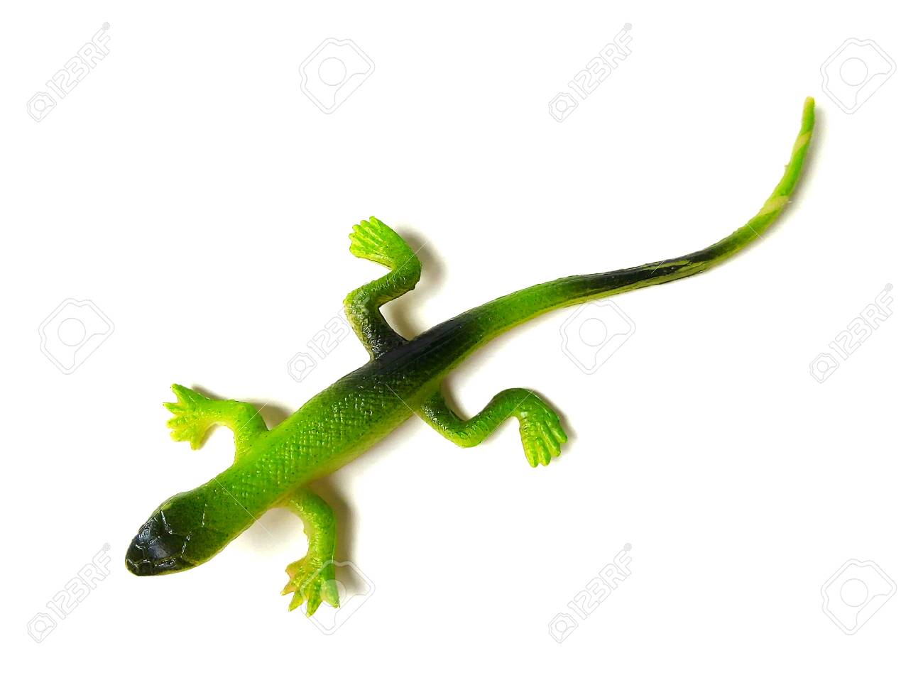 rubber lizard