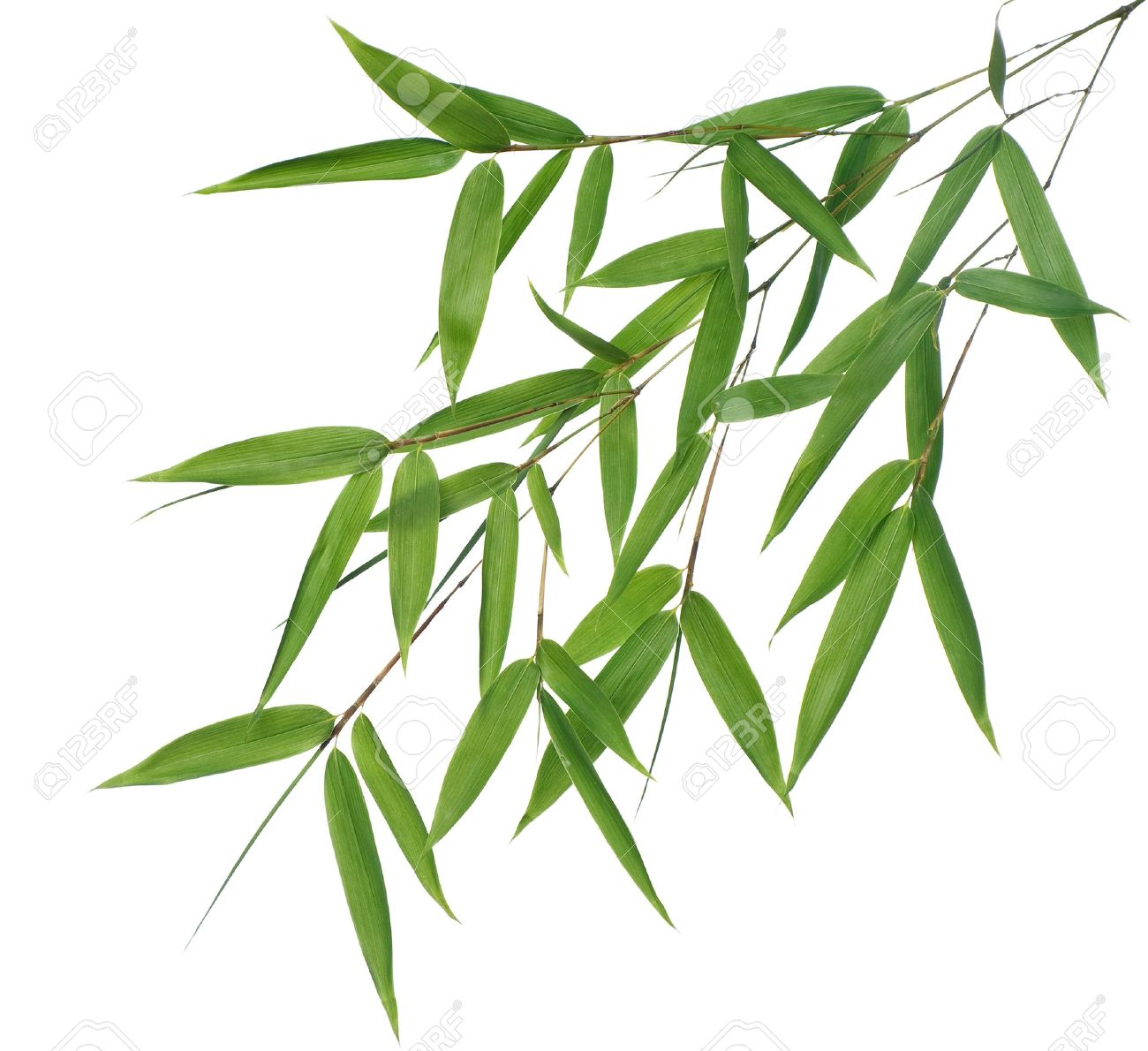 high resolution image of
