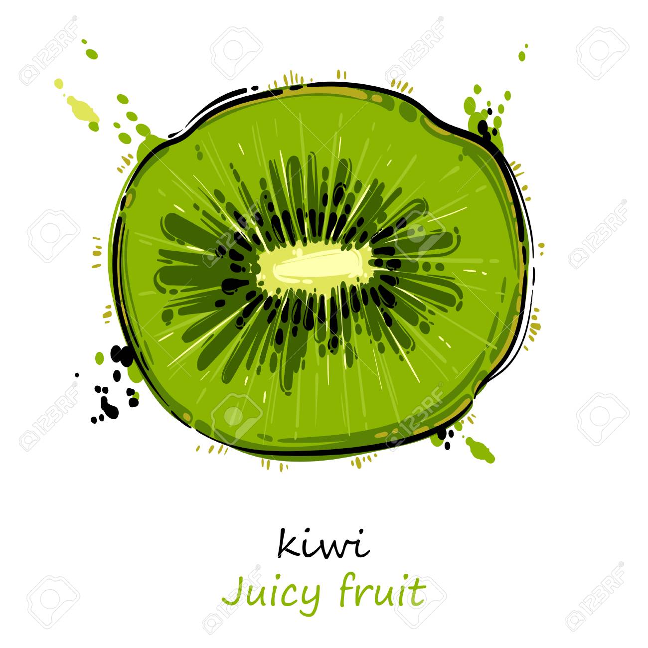 Vector Abstract Illustration With Kiwi. An Isolated Set For Your Design Of  Postcard, Menu, Banner, Poster, Advertisement And Other. Royalty Free SVG,  Cliparts, Vectors, and Stock Illustration. Image 85873882., image size:1300x1300