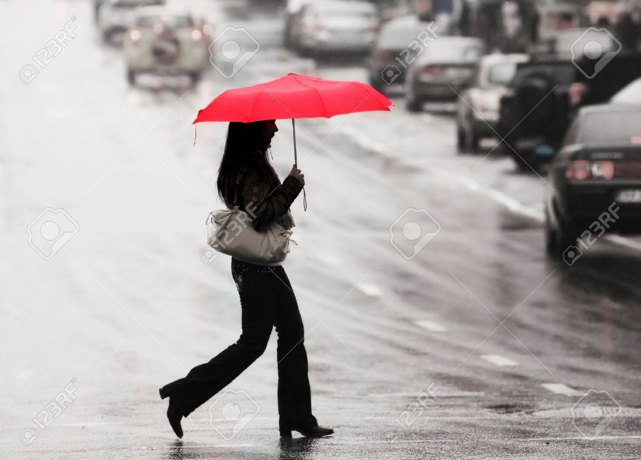 赤い傘を持つ女性は雨の中で通りを渡る の写真素材 画像素材 Image