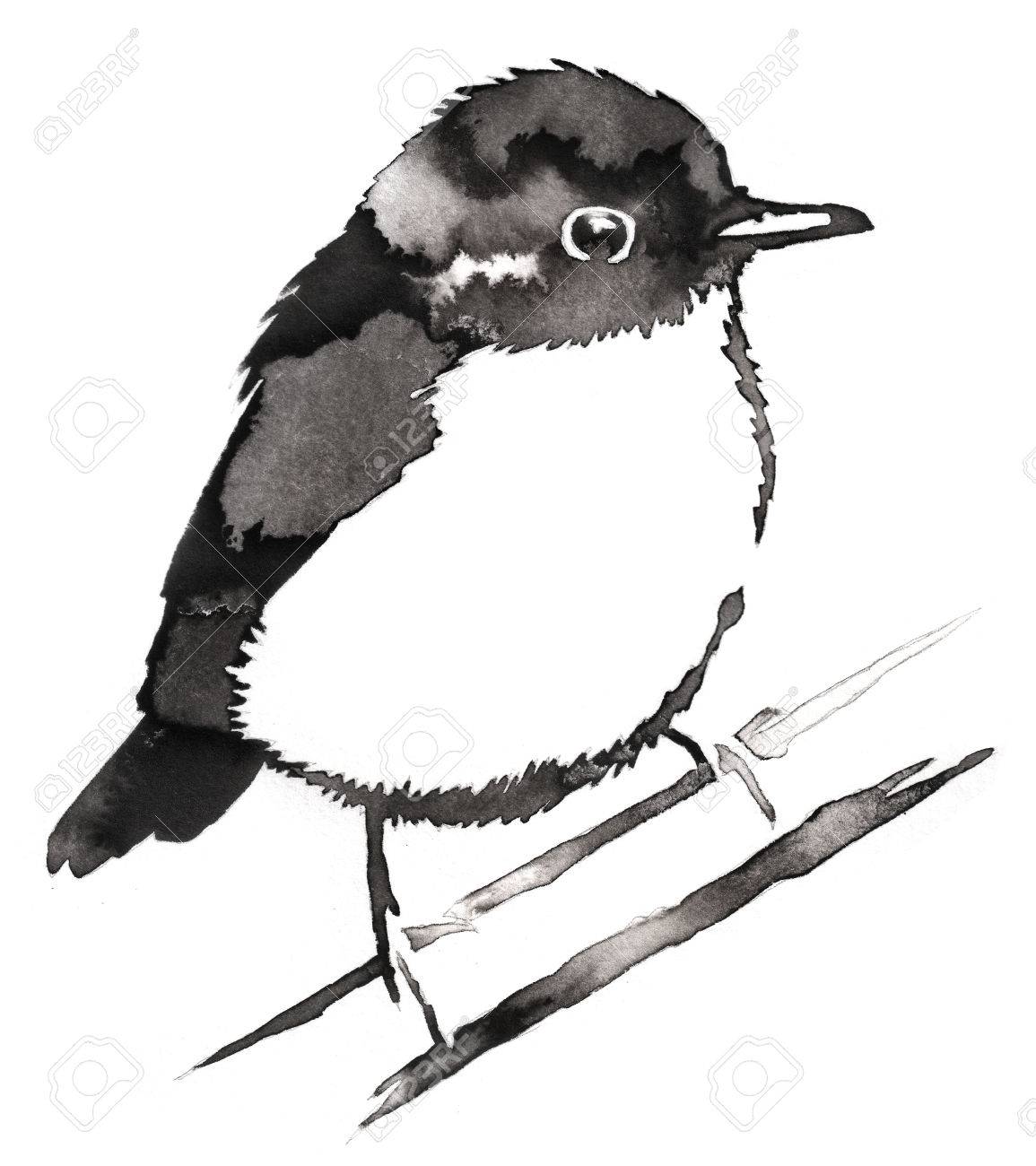水とインクの黒と白の絵画は雀鳥のイラストを描いてください の写真素材 画像素材 Image