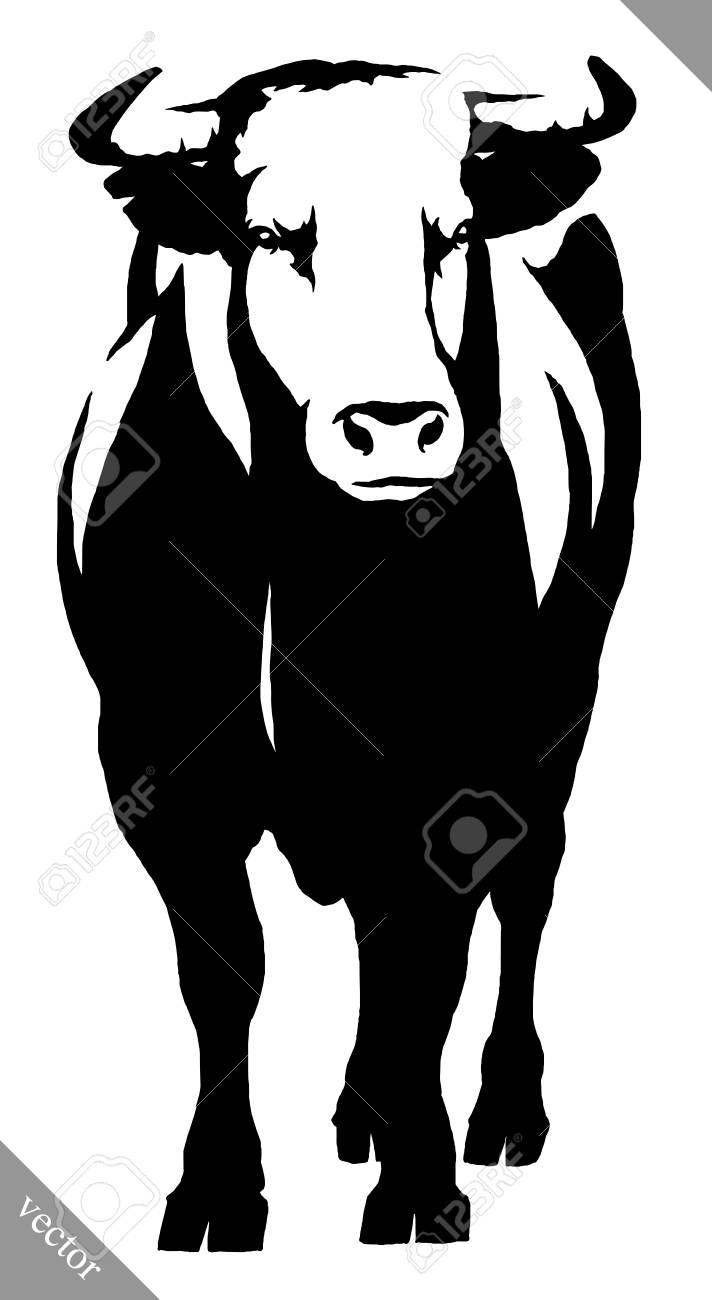 black and white linear draw bull illustration royalty free cliparts