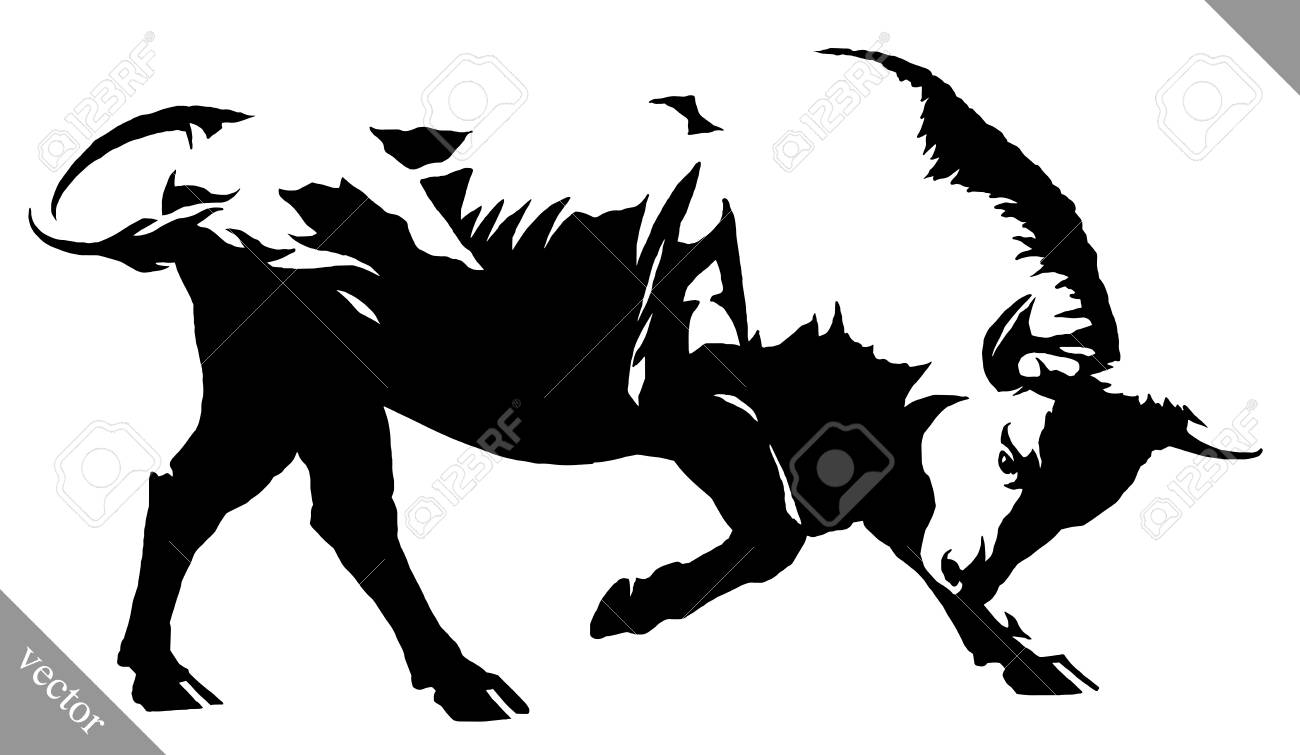 black and white linear draw bull illustration royalty free cliparts