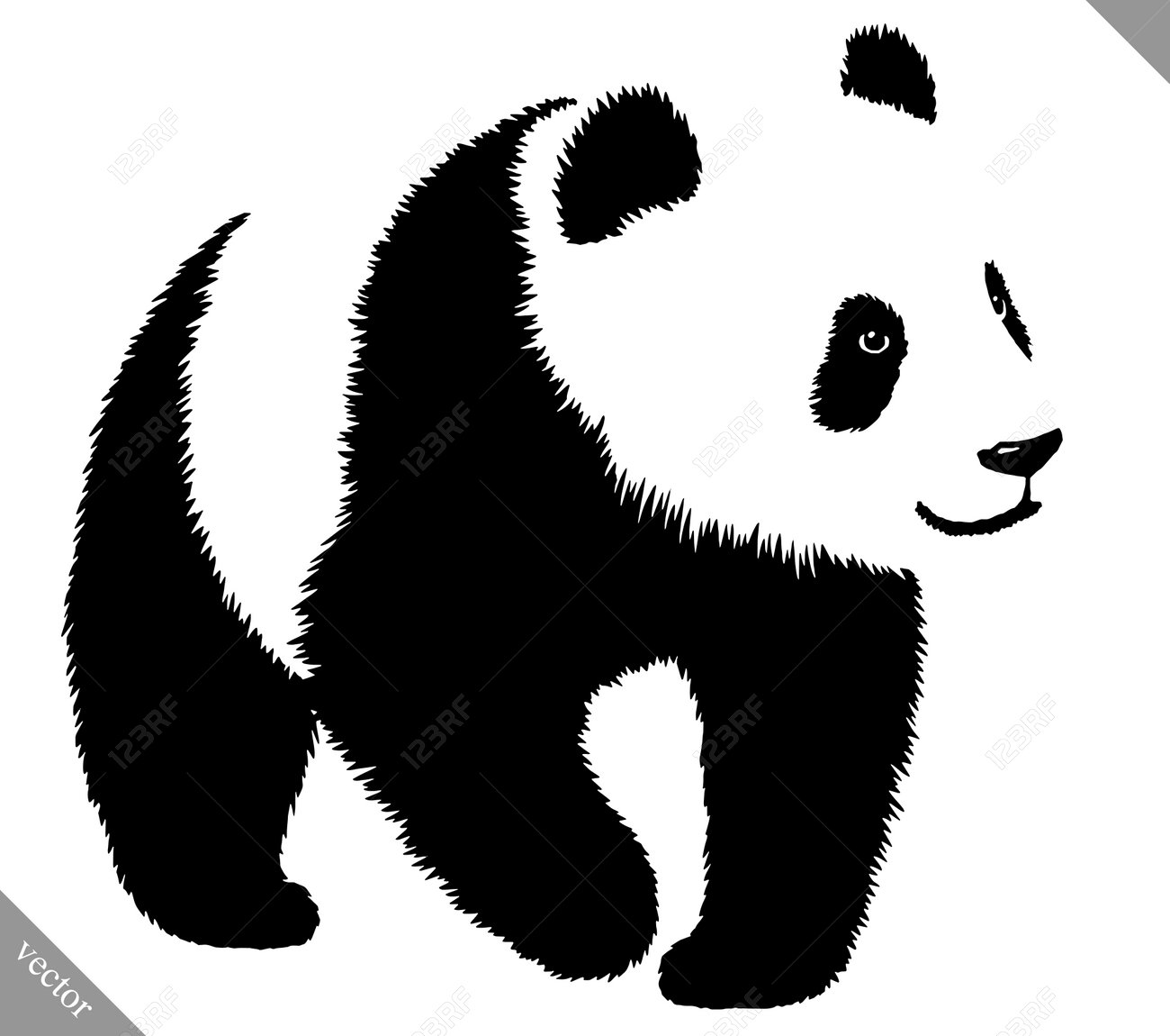 黒と白の線形ペイント描画パンダ ベクトル イラストのイラスト素材 ベクタ Image