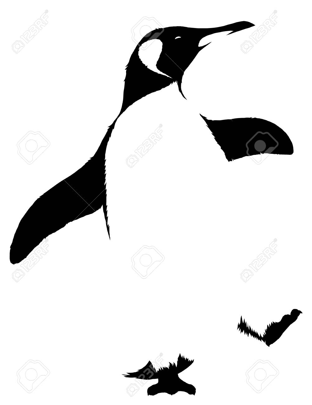 black and white linear paint draw penguin illustration stock photo